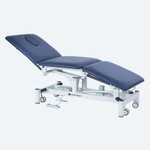 3 Section Hi Lo Electric Couch Medical