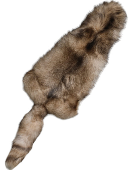 Dolce & Gabbana Brown Frost Fox Fur Neck Warmer Winter Scarf Dolce & Gabbana Brown Frost Fox Fur Neck Warmer Winter Scarf