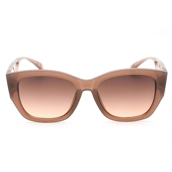 Brown Resin Sunglasses Brown Resin Sunglasses