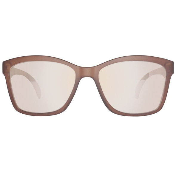 Brown Plastic Sunglasses Brown Plastic Sunglasses