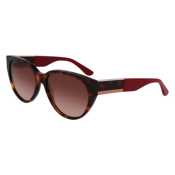 Brown Acetate Sunglasses LAL985S240AC Brown Acetate Sunglasses LAL985S240AC