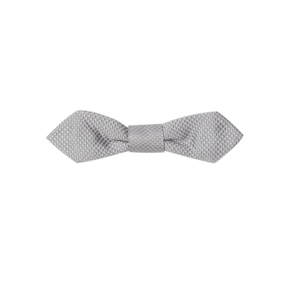 Gray Silk Bowty Gray Silk Bowty