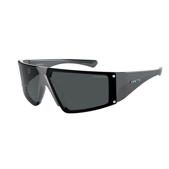 Gray Resin Sunglasses ARAN4332291787AC Gray Resin Sunglasses ARAN4332291787AC
