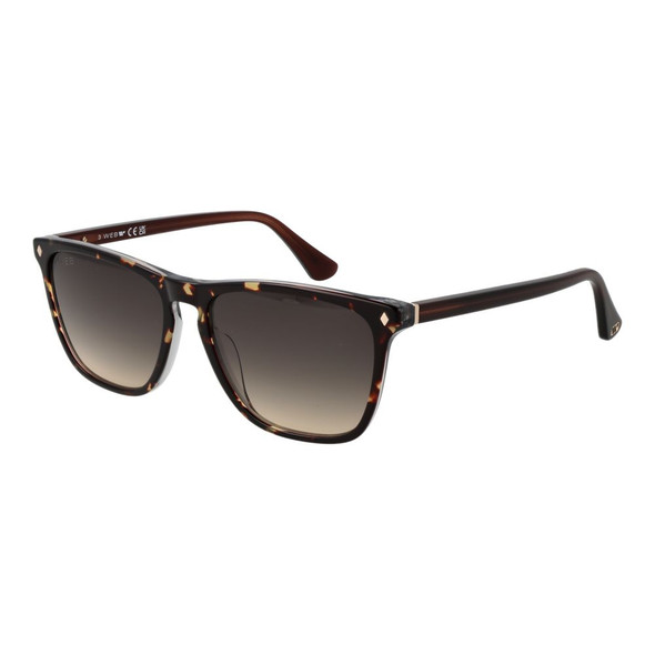 Web Brown Men Sunglasses Web Brown Men Sunglasses