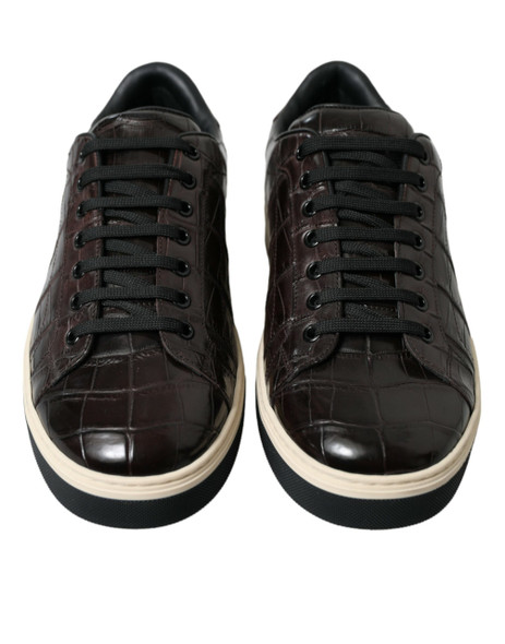 Dolce & Gabbana Brown Croc Exotic Leather Men Casual Sneakers Shoes Dolce & Gabbana Brown Croc Exotic Leather Men Casual Sneakers Shoes