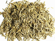 Caraway Seed - Certified Organic