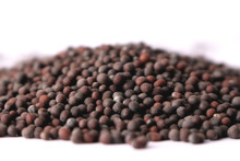 Black Mustard Seed - Certified Organic