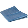 96-002-734      TARP POLY 10'X10'BLUE ECON TTC