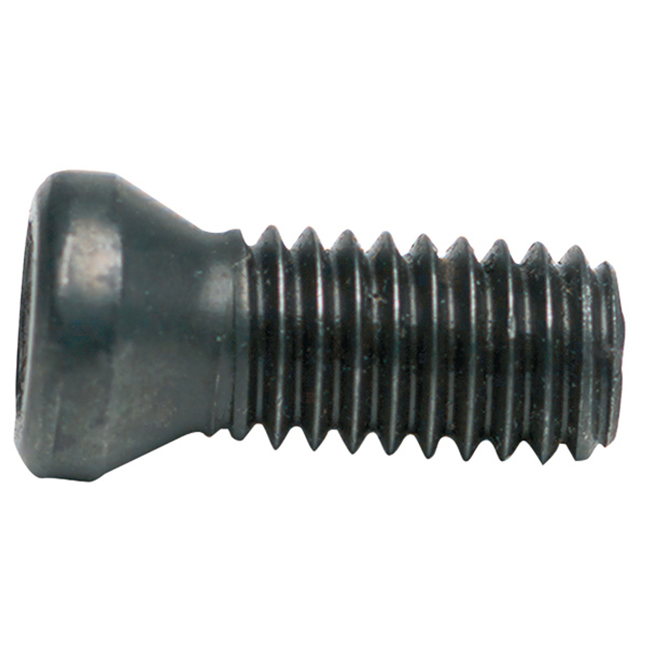 24-286-036      GTS-1 INSERT TORX SCREW