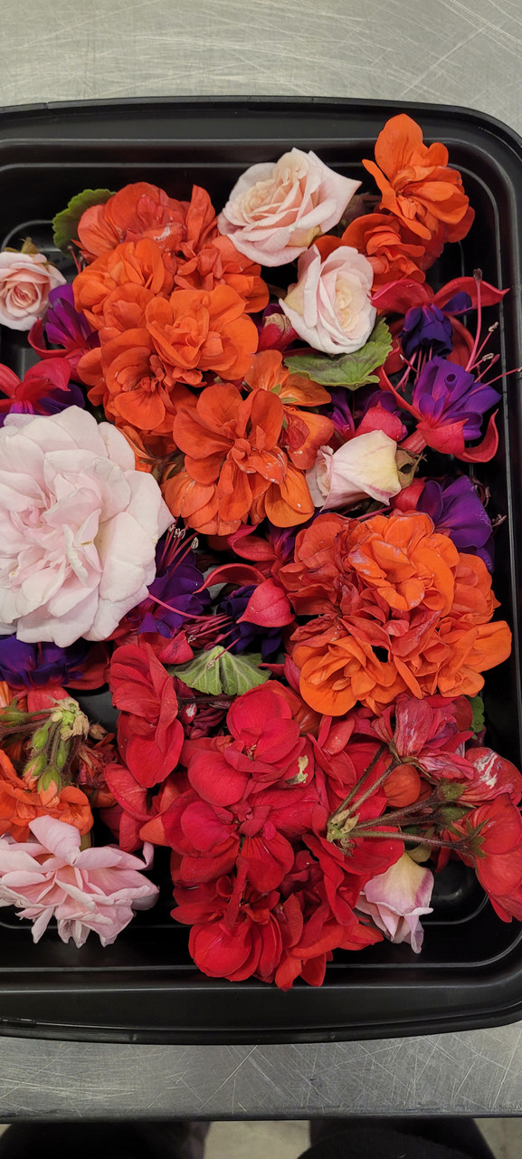 Kasie Wild Foraged Edible Flowers & Greens - SFRAW
