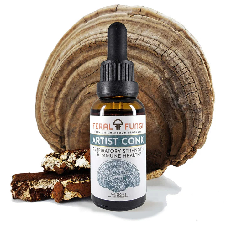 Feral Fungi Artist Conk Tincture 1 fl oz - SFRAW