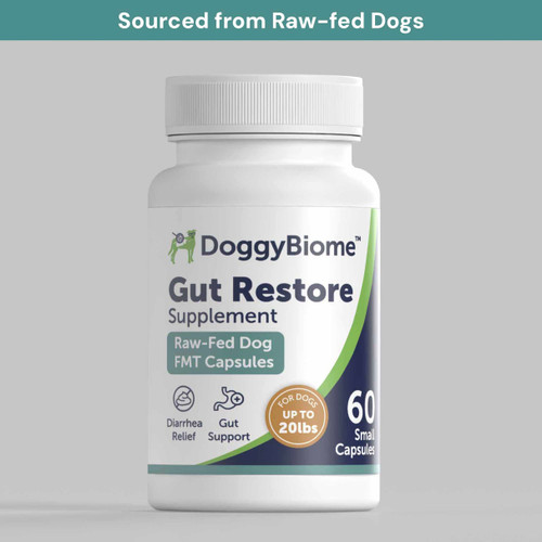DoggyBiome Gut Restore from Raw-Fed Dogs, Medium (21-40lbs)