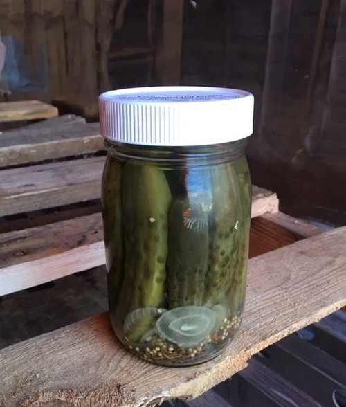 AMOF Whey Ferment Dill Pickles Pint Glass