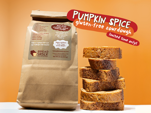 Bread Srsly Pumpkin Spice Bread