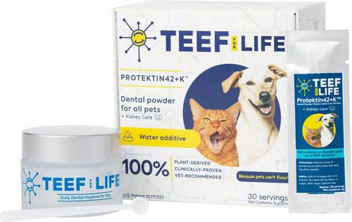 TEEF - Protektin42K: Prebiotic Dental Powder for all pets- 90 Servings