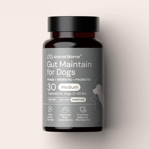 AnimalBiome Gut Maintain for Dogs LARGE