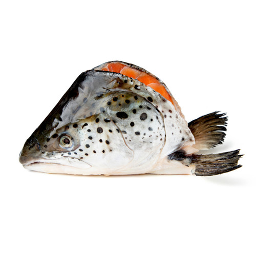 Wild Salmon Heads- Portion