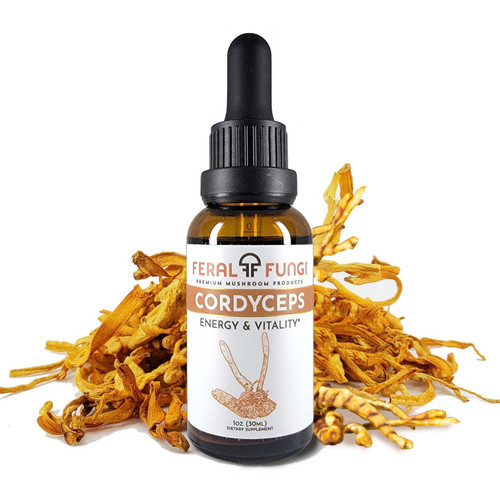 Cordyceps Tincture 2oz