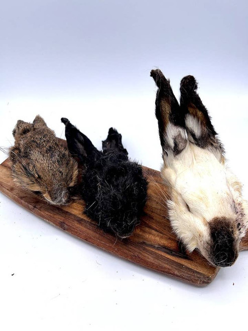 What The Raw - Dehydrated Rabbit Head