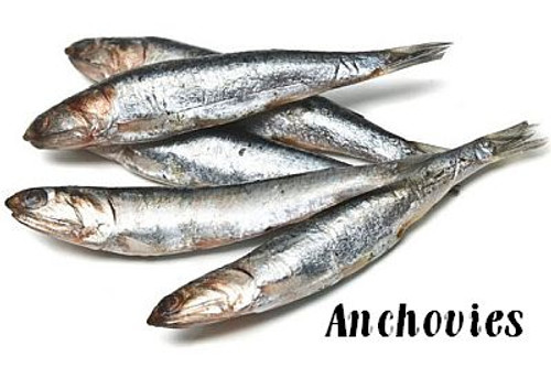 Wild Caught Local Anchovies, portioned