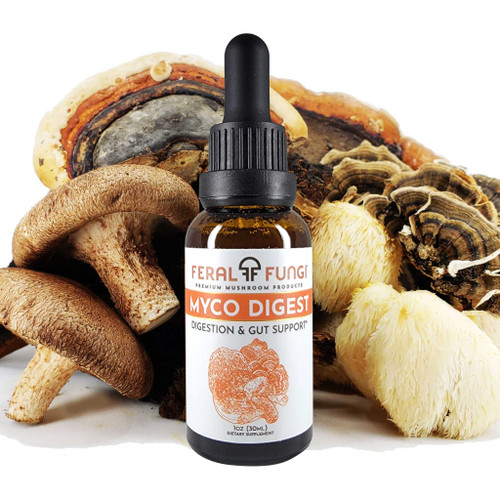 Feral Fungi Myco Digest Blend 1 fl oz Feral Fungi Myco Digest Blend 1 fl oz