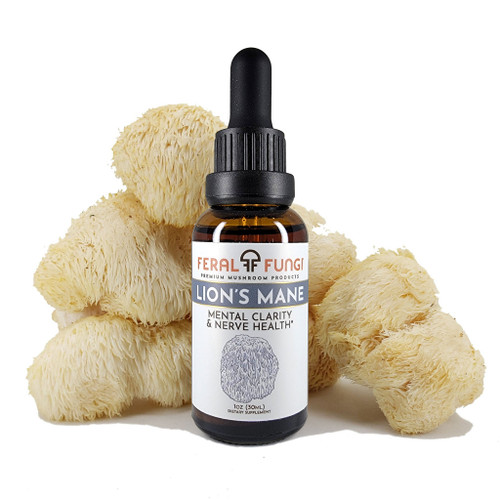 Feral Fungi Lion's Mane Tincture, 1 fl oz Feral Fungi Lion's Mane Tincture, 1 fl oz