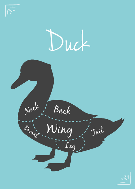 Duck Necks BULK