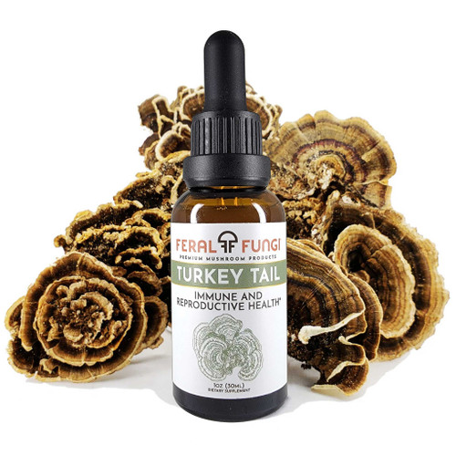 Feral Fungi Turkey Tail 2 fl oz Feral Fungi Turkey Tail 2 fl oz