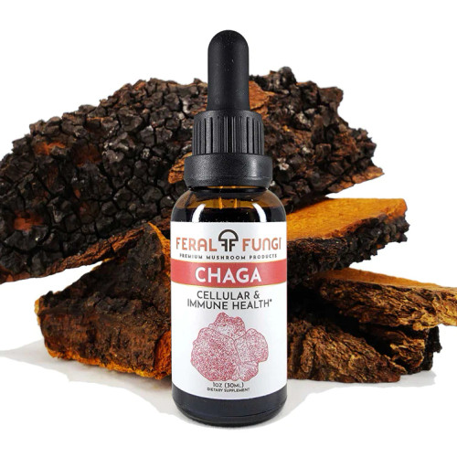 Chaga Tincture 1oz