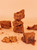 SFR Salmon Treat 4 oz.