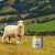 Milkio Gras-fed SHEEP Ghee 32 fl oz
