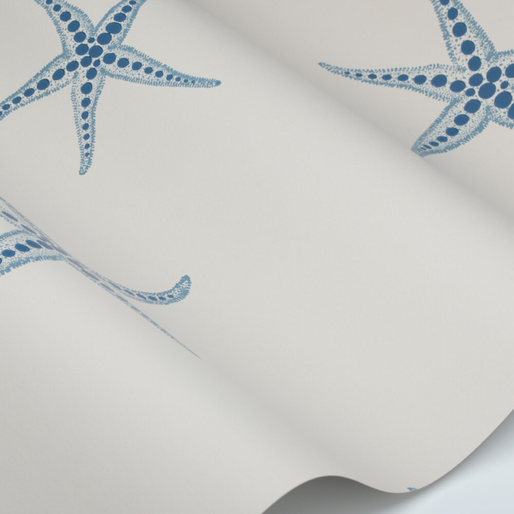 Starfish - Blue / Parchment