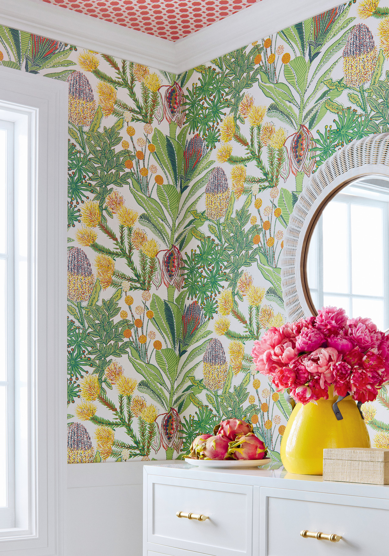 Botanical Australiana Florals Bright Multicolour Wallpaper Thibaut Protea — free download