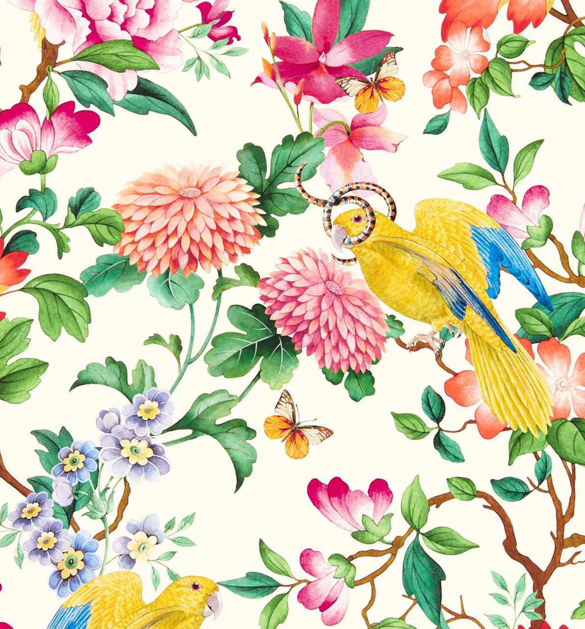 Wedgwood by Clarke & Clarke Wallpapers : Wallpaper Direct