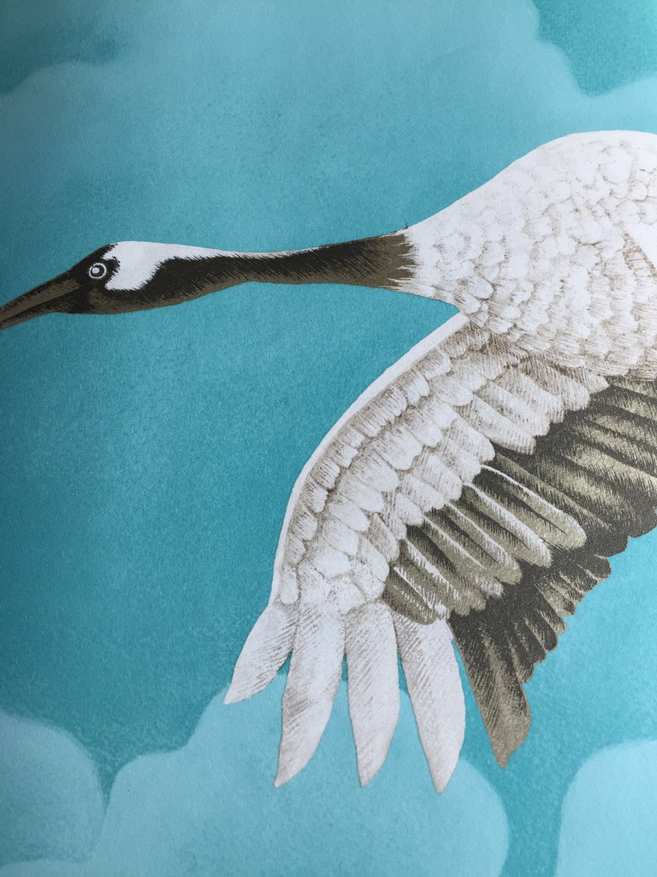 Harlequin Cranes in Flight Marine Blue Flying Crane Bird Wallpaper 111234