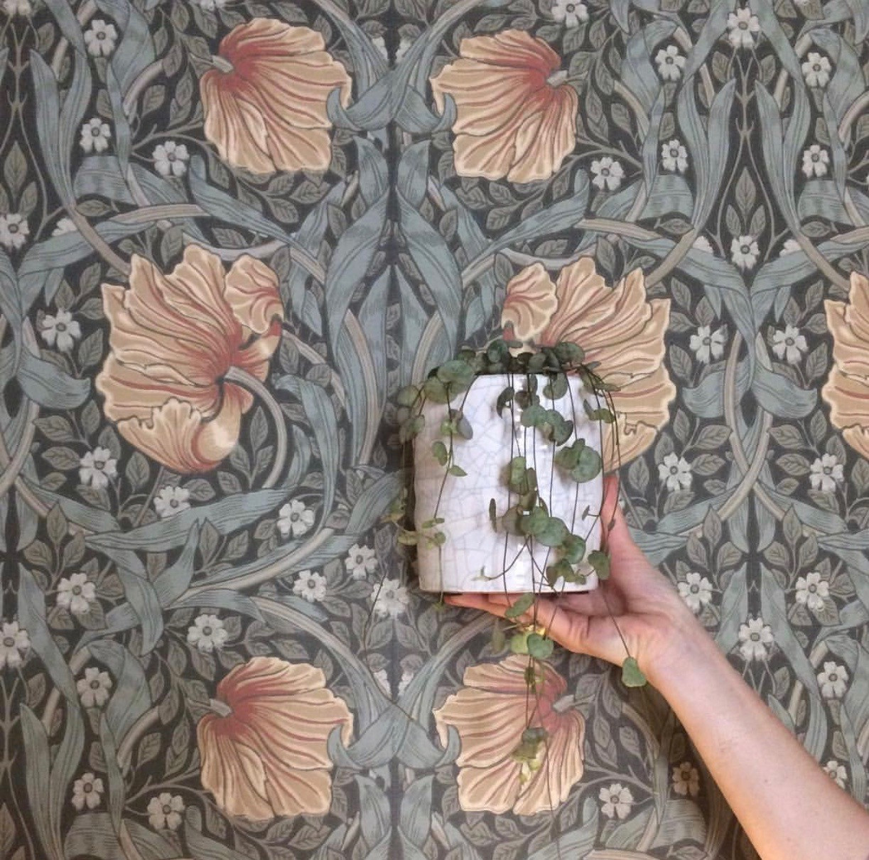 Vintage Swirl Floral Green Coral Wallpaper | Morris and Co Pimpernel