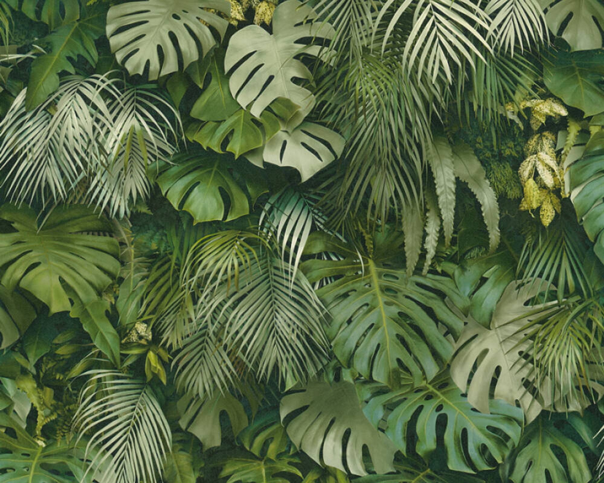 Realistic Tropical Leaf Wall Green Non Woven Wallpaper | AS Creation