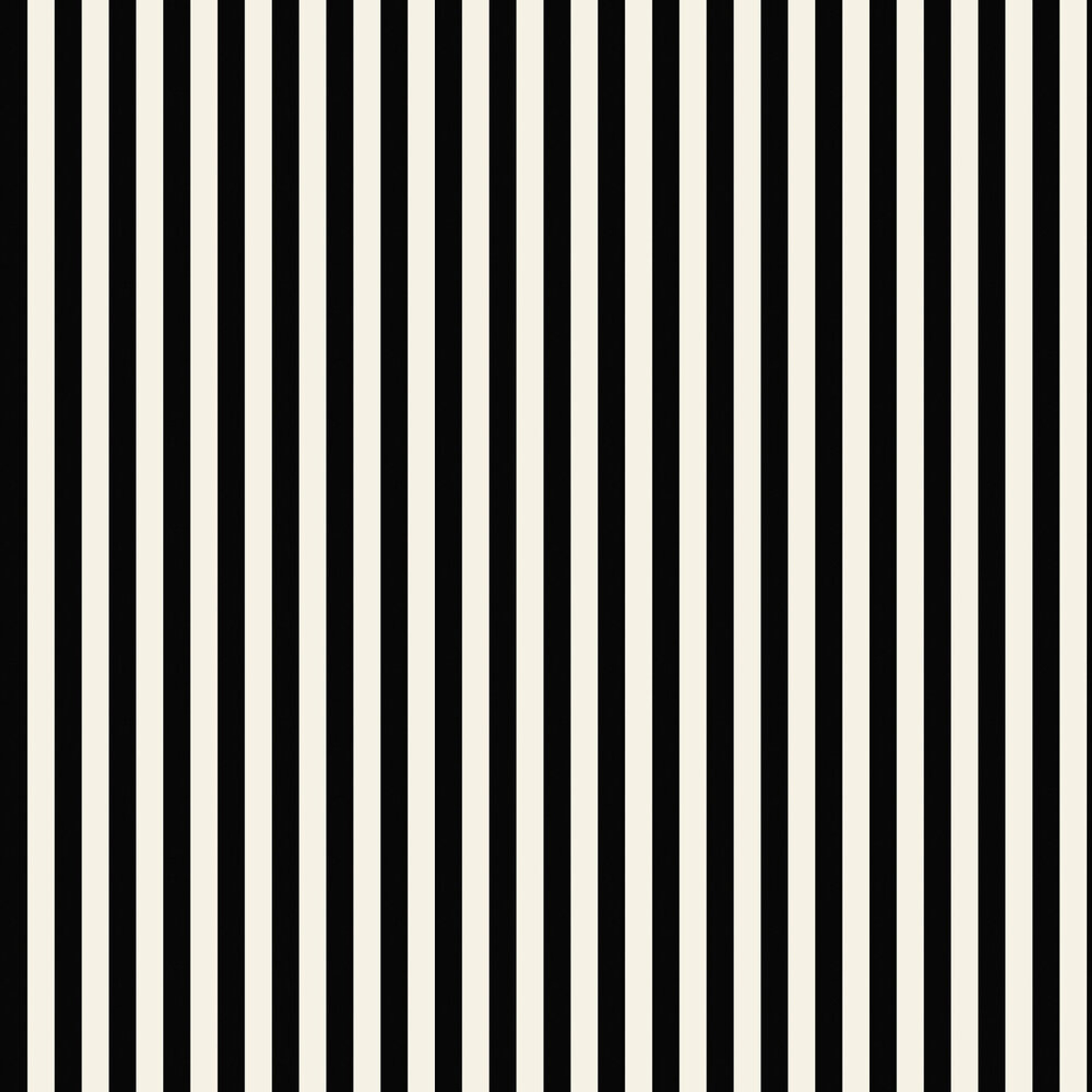 Download White Stripes On Black Iphone 6 Plus Wallpaper  Wallpaperscom