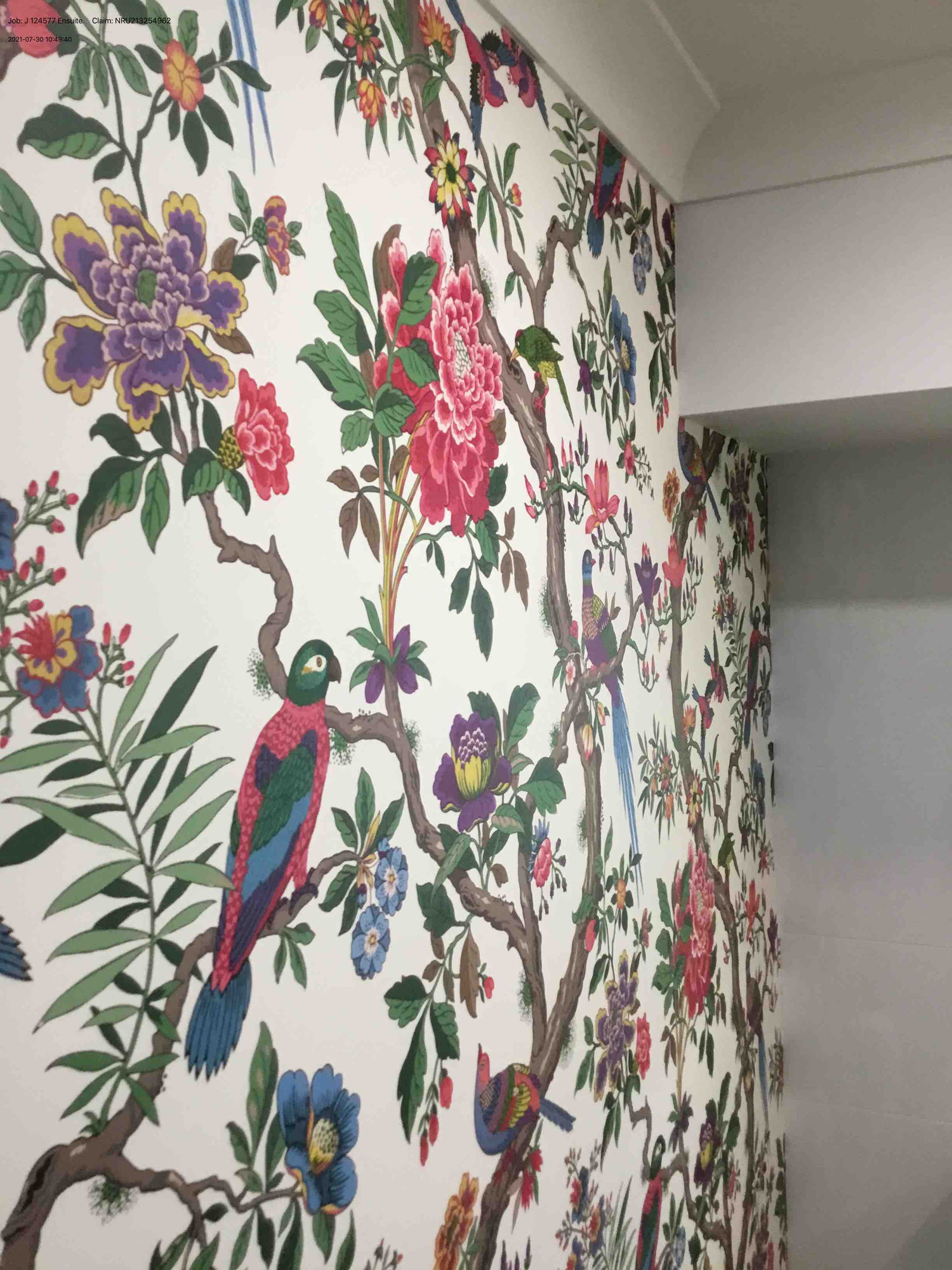 Vintage Perched Bird Multicolour Non Woven Wallpaper Cole and Son Fontainebleau