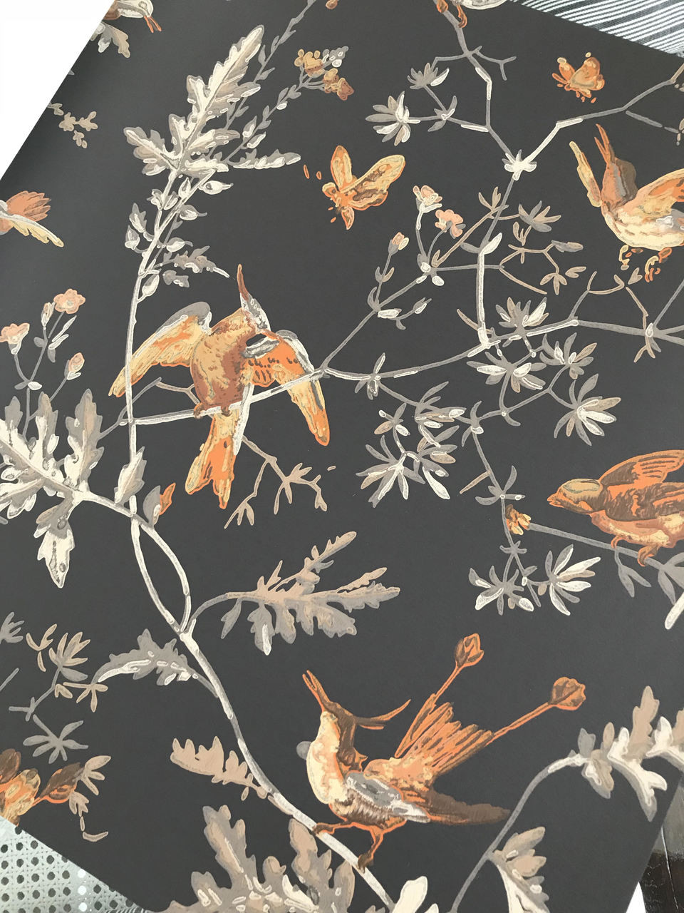 cole & son hummingbirds wallpaper 112/4017