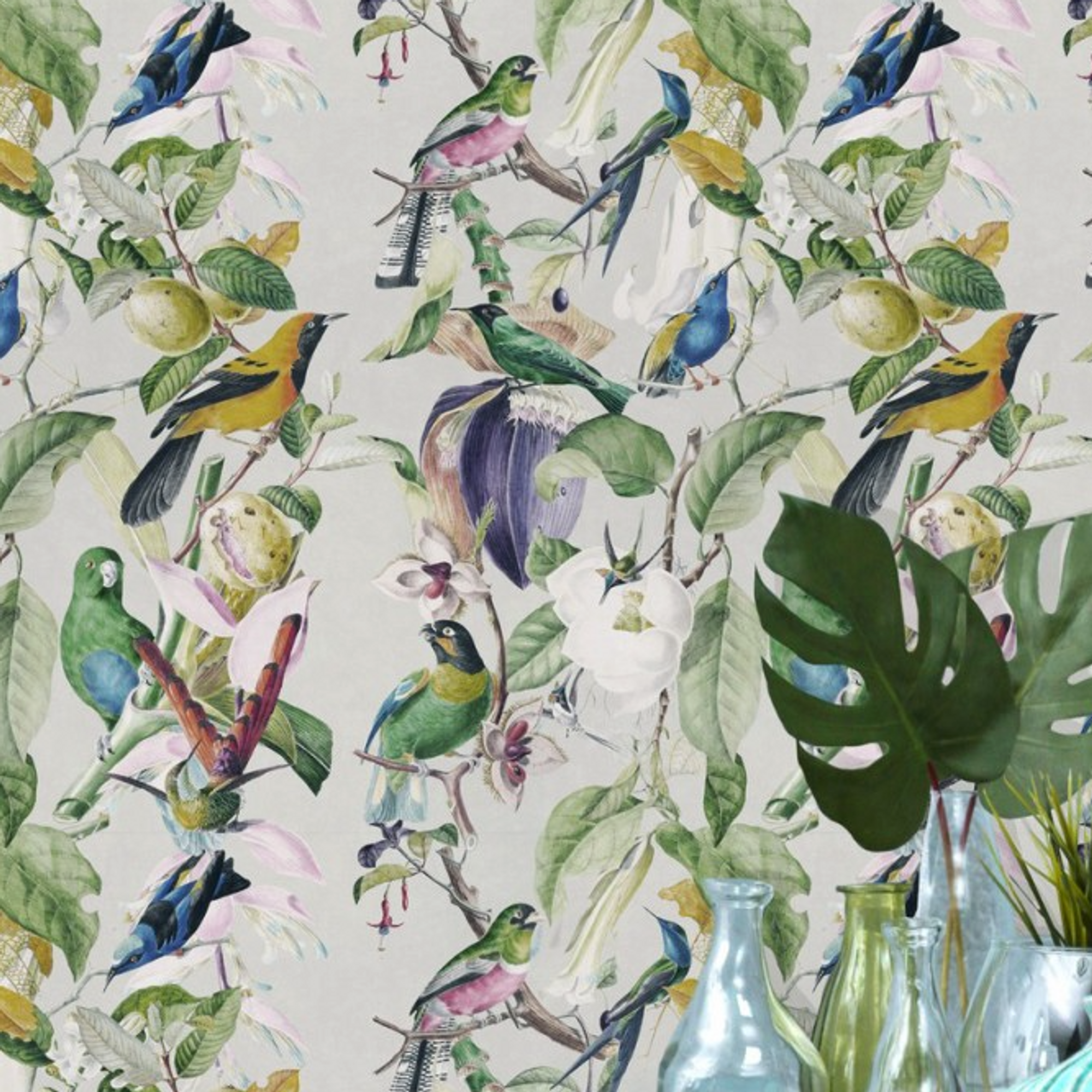 Mind The Gap Tropical Birds Wallpaper