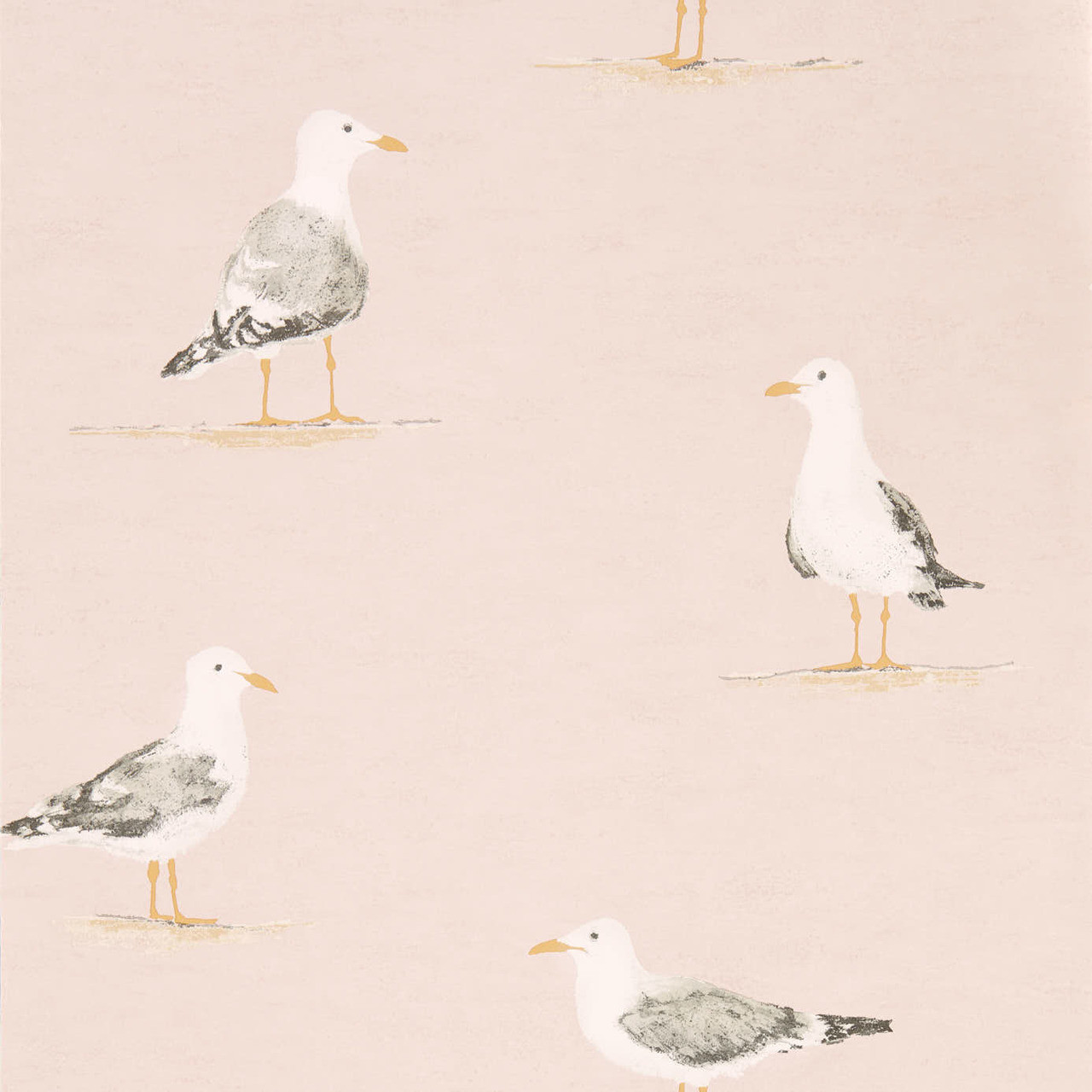 Sanderson Shore Birds Seagull Blush Pink Wallpaper
