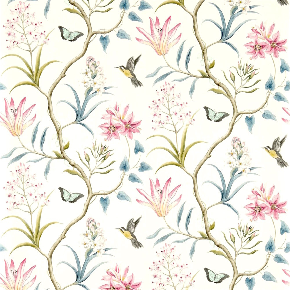 Clementine Wallpaper