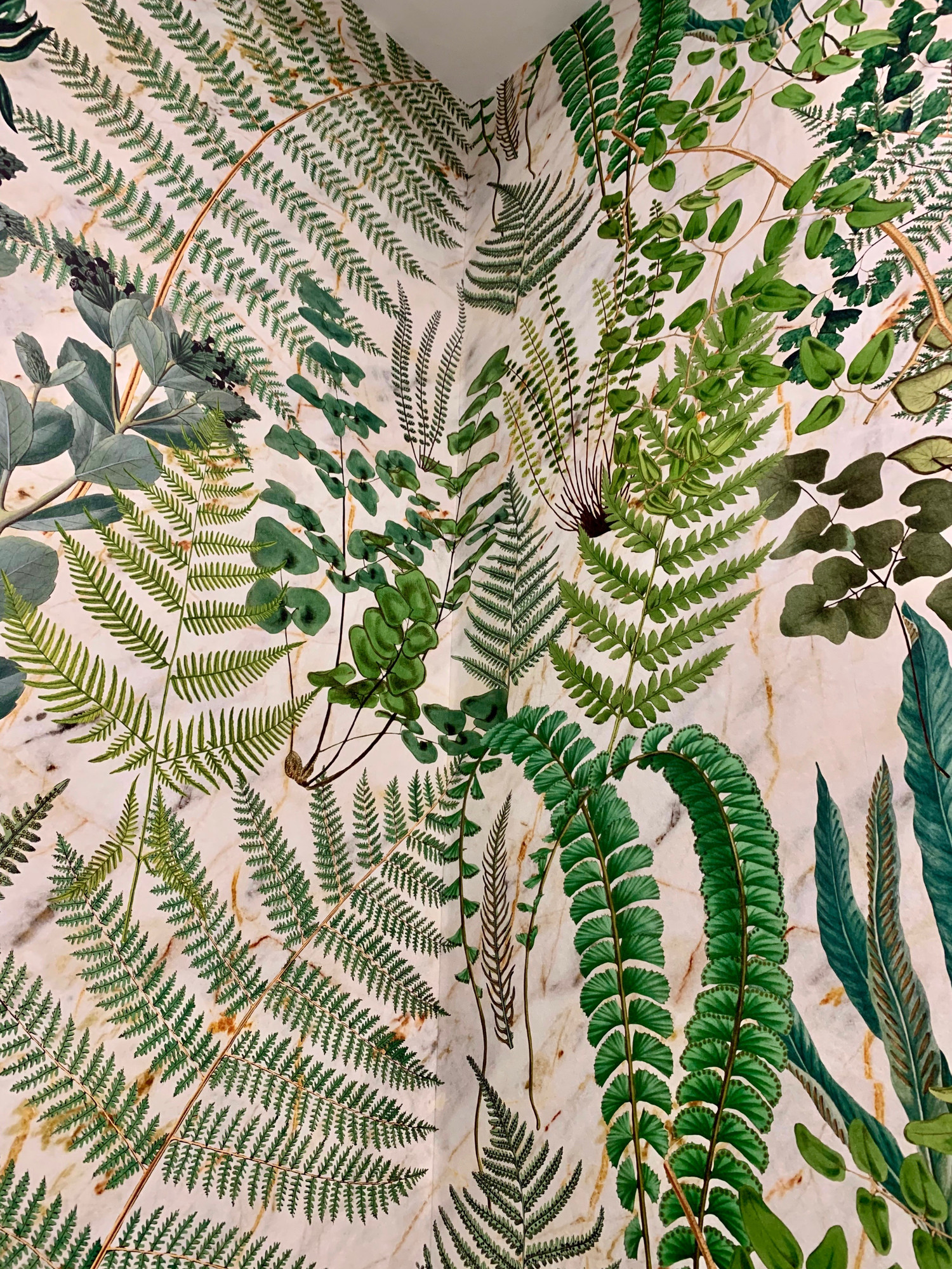 Green Botanical Fern Wallpaper WP20319