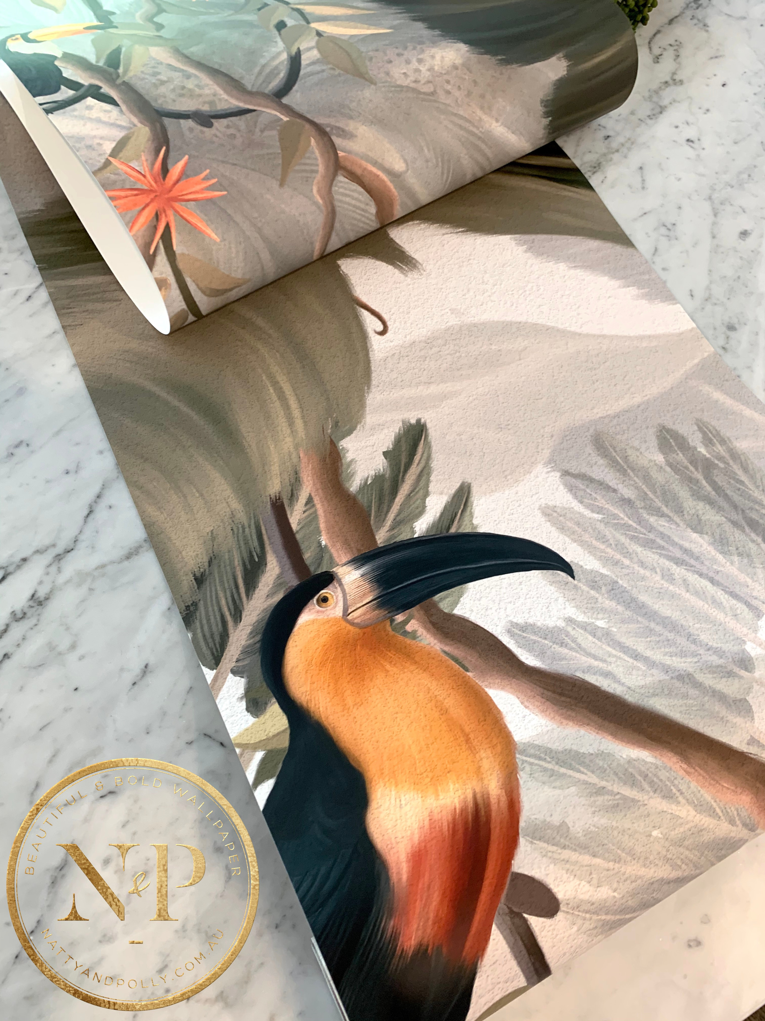 Bold and Bright Tropical Birds Palm Leaf Amazon Wallpaper Mural White