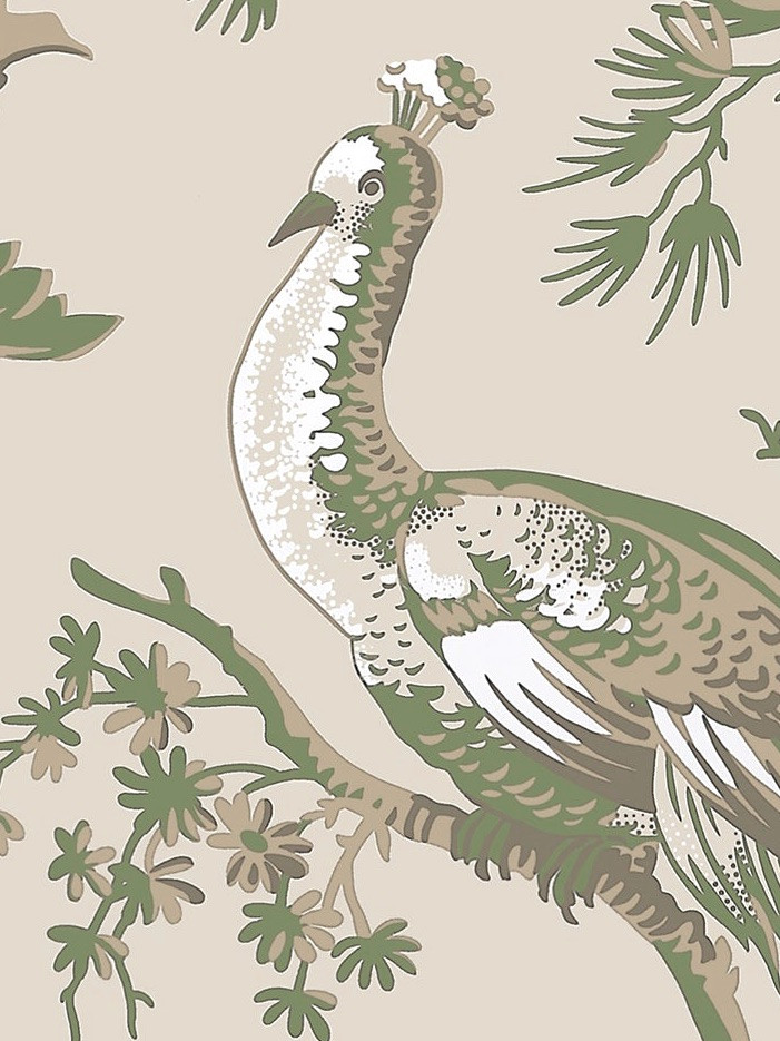 Large Scale Peacocks and Birds With A Toile Effect Green Neutral ...