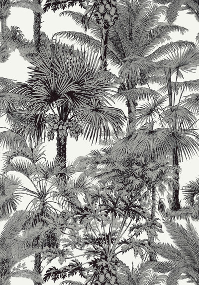 Palm Botanical - Black
