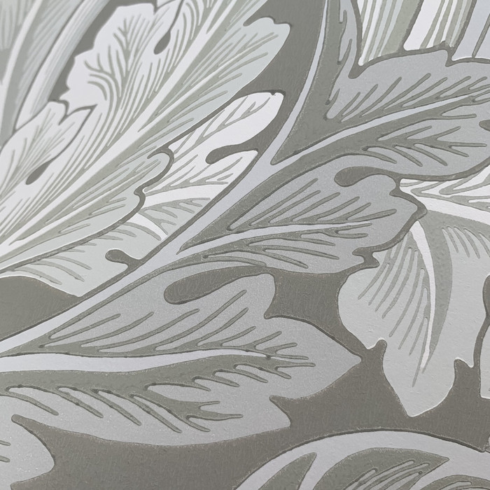 Acanthus - Grey / White