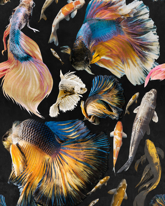 Goldfish - Anthracite
