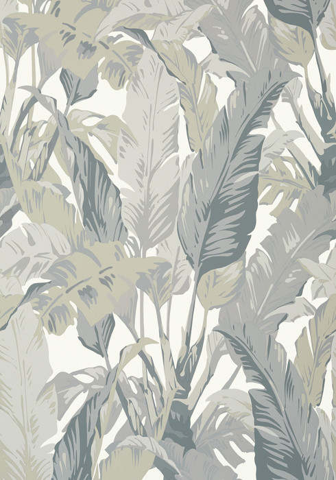 Travelers Palm - Grey